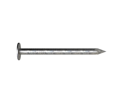 Clout Nail Galv 40 x 2.8mm