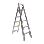 Pro Dual Purpose Ladder 150kg