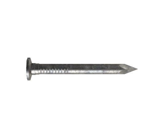 Connector Nail Galv 30 x 2.8mm