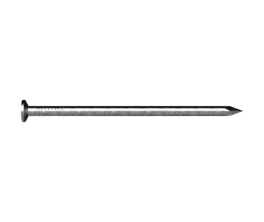 Flat Head Nail Galv 50 x 2.8mm