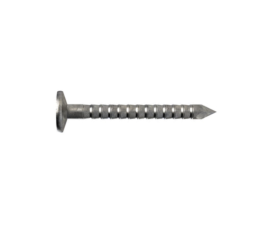 Plasterboard Nail Galv 30 x 2.8mm
