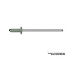 Aluminium Colorbond Rivet 4.3